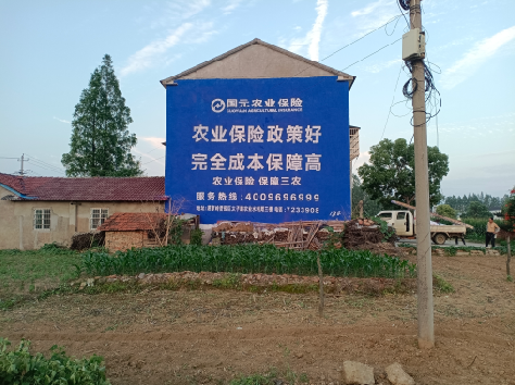 咸宁墙体广告为何受追捧？